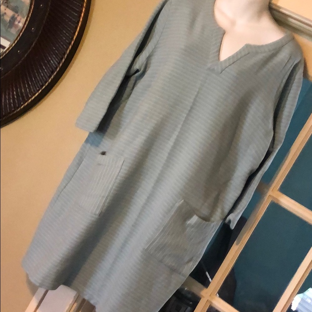 J Jill Tunic/Dress